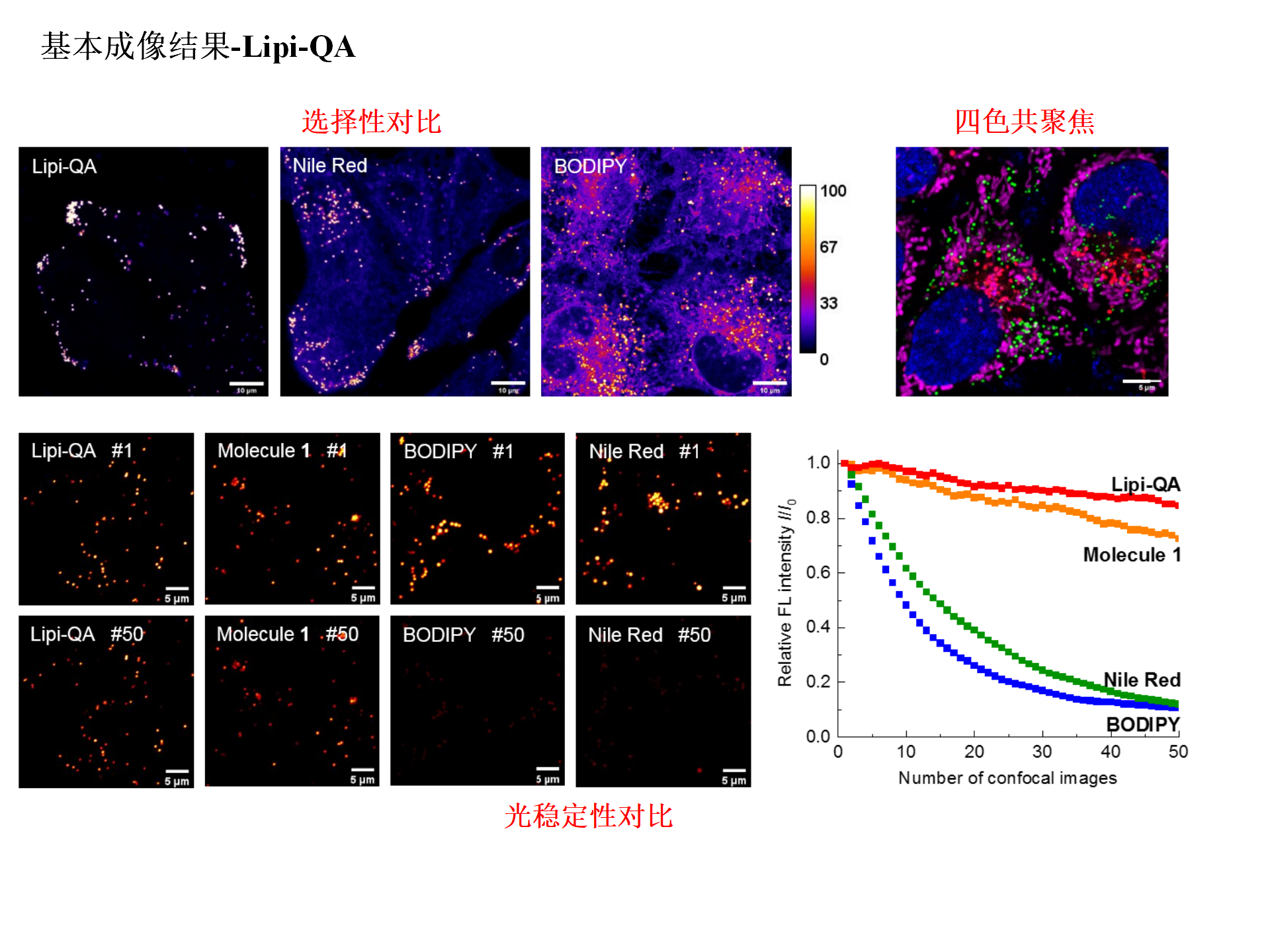 Sunbloss®Lipi-QA脂滴染料