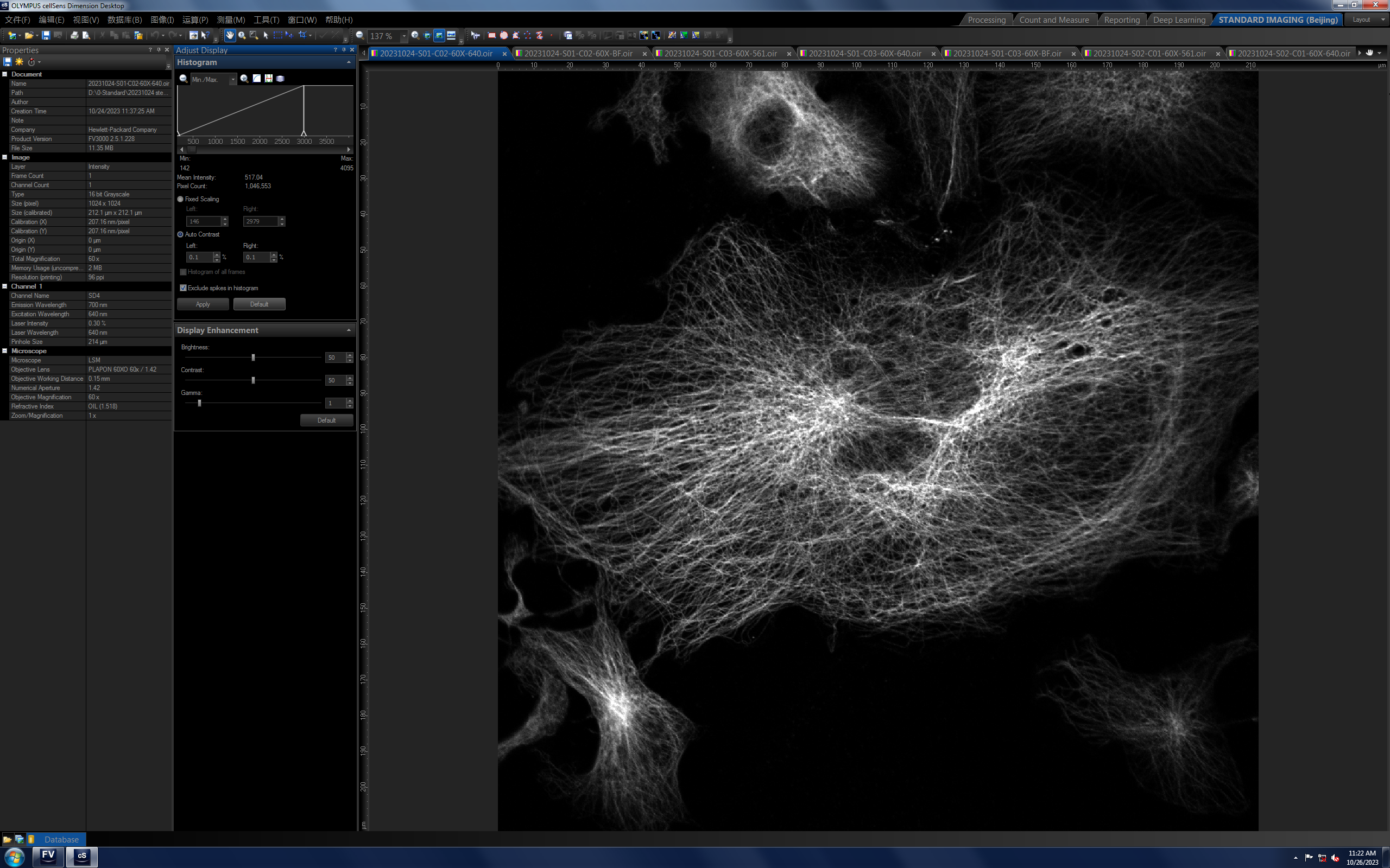 E7-Mouse Supernatant