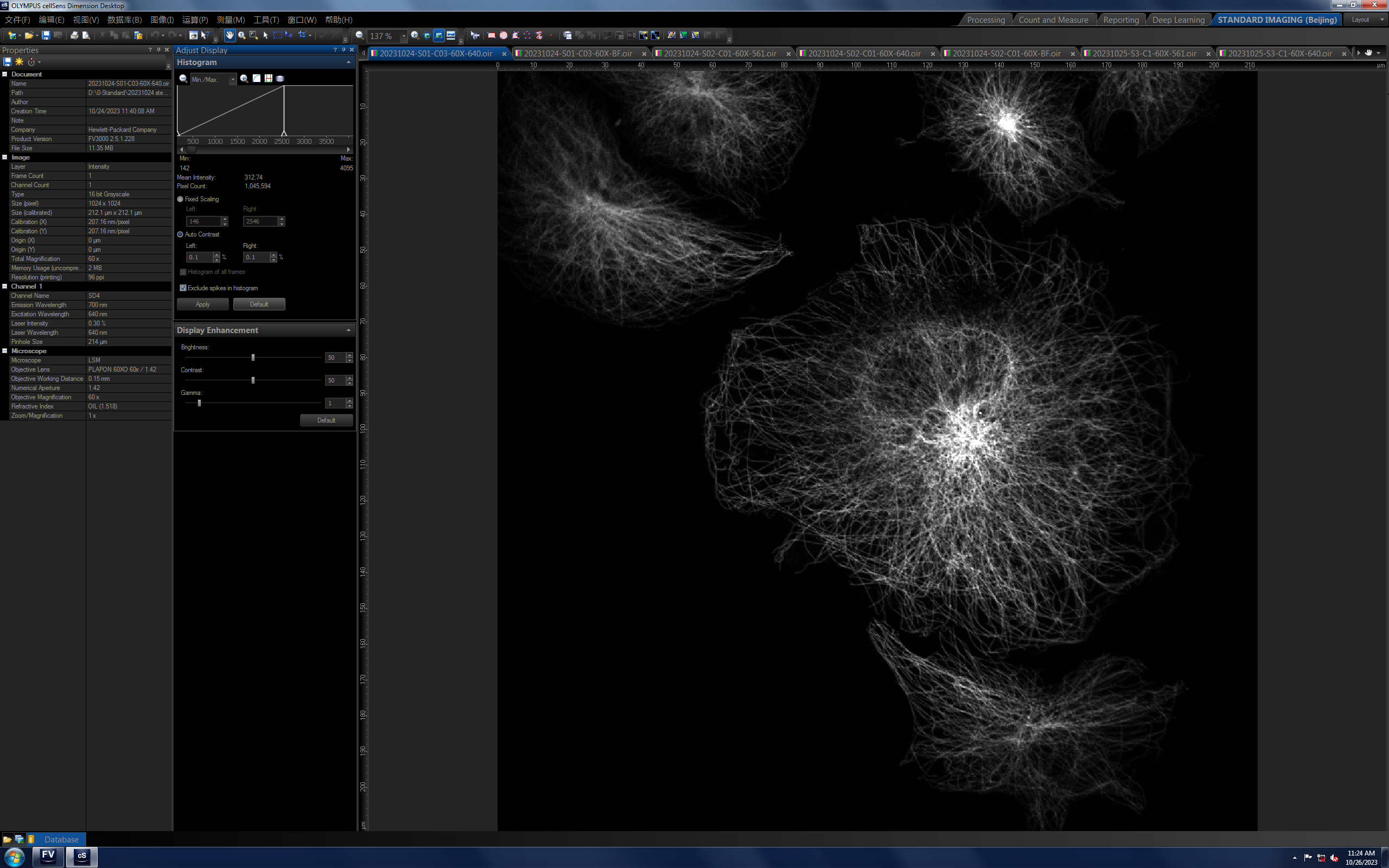 E7-Mouse Supernatant