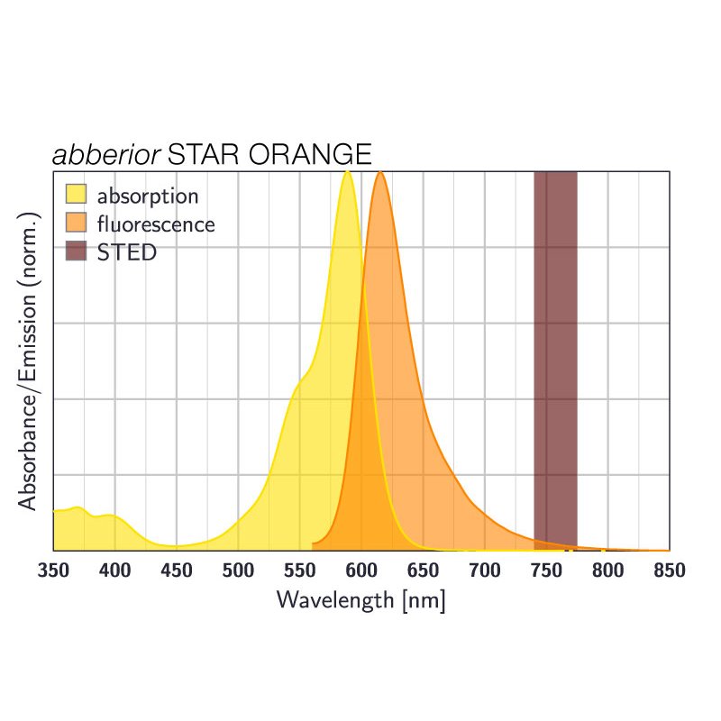 abberior STAR ORANGE, goat anti-guinea pig IgG, 500 µg