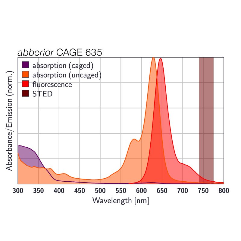 abberior CAGE 635, phalloidin, 20 µg