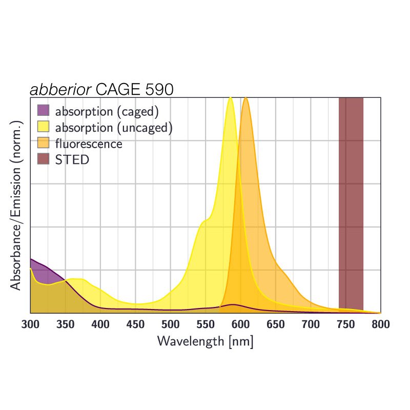 abberior CAGE 590, phalloidin, 20 µg