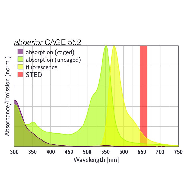 abberior CAGE 552, streptavidin, 1 mg