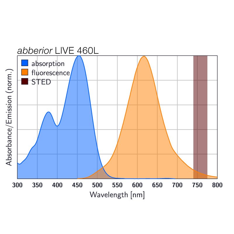 abberior LIVE 460L, DNA, 50 µg