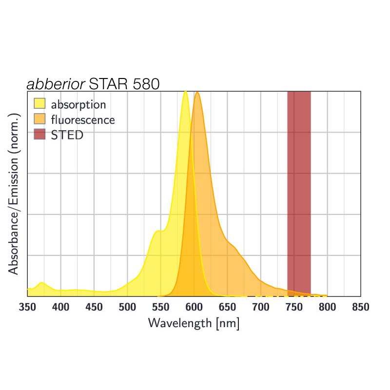 abberior STAR 580, phalloidin, 20 µg