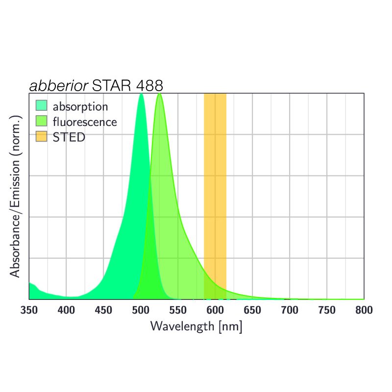 abberior-star-488-streptavidin-1-mg.jpg