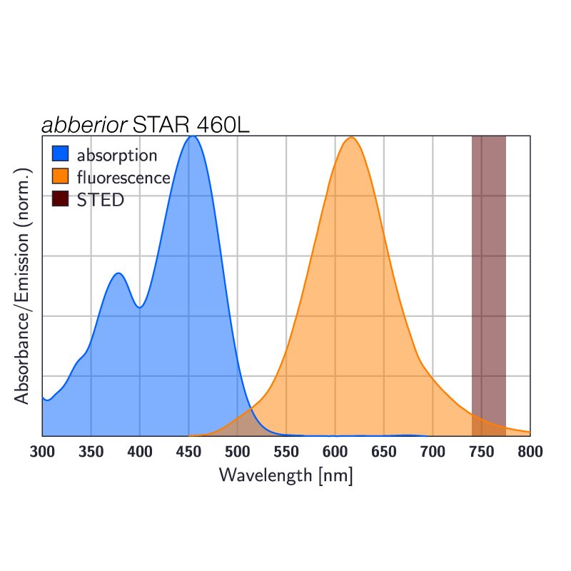 abberior STAR 460L, phalloidin, 20 µg