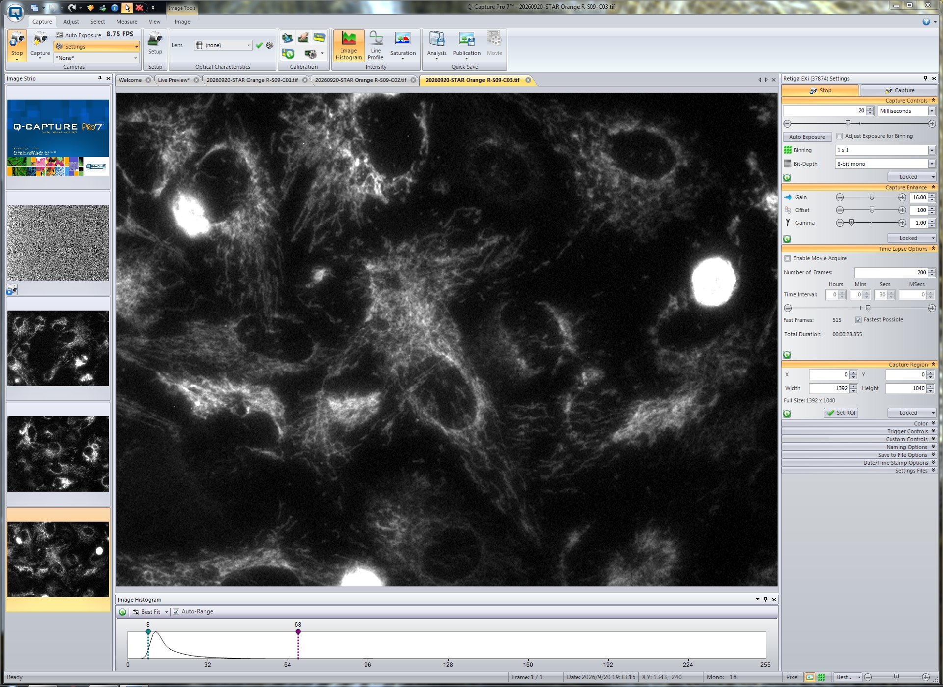 STAR Orange R-S09-C03