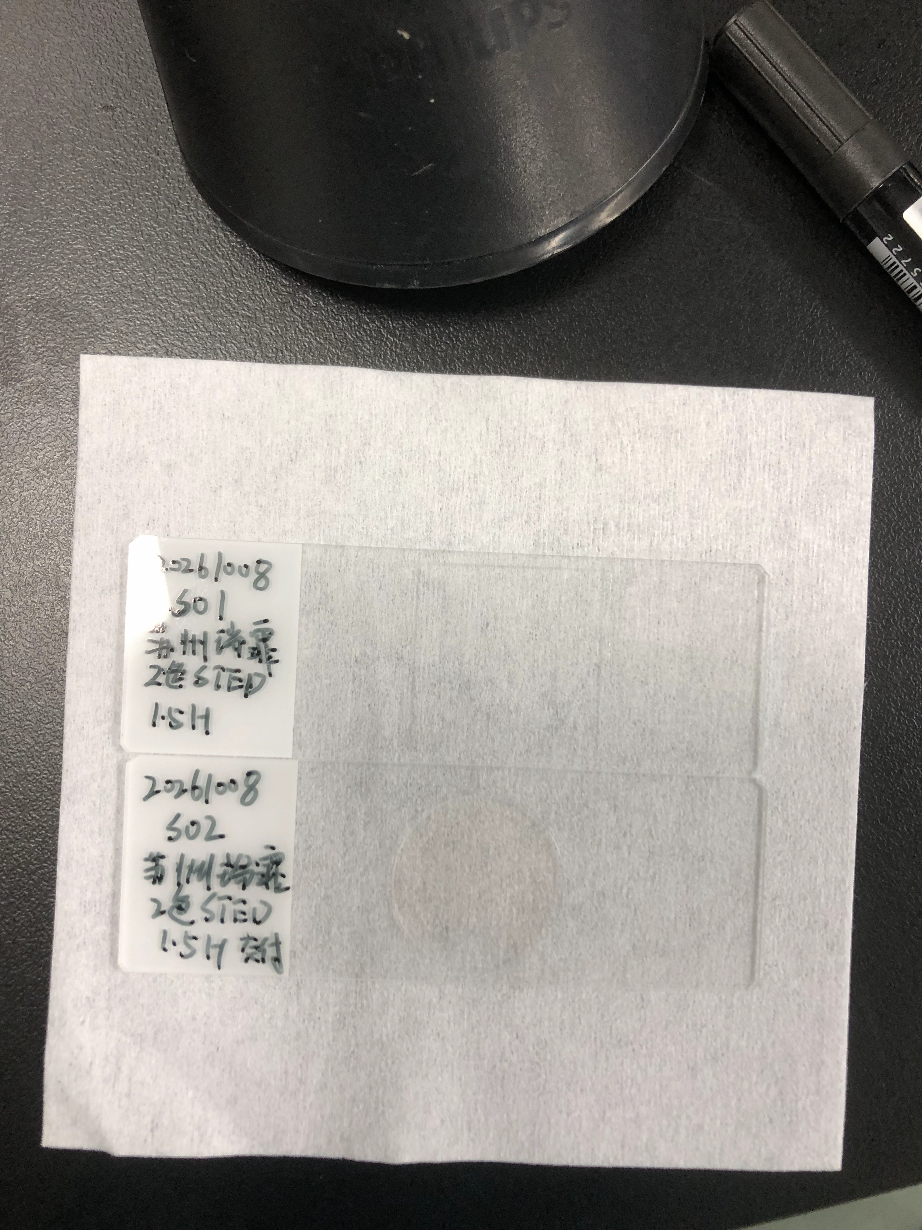 样品实物 20261008 双色标准样品