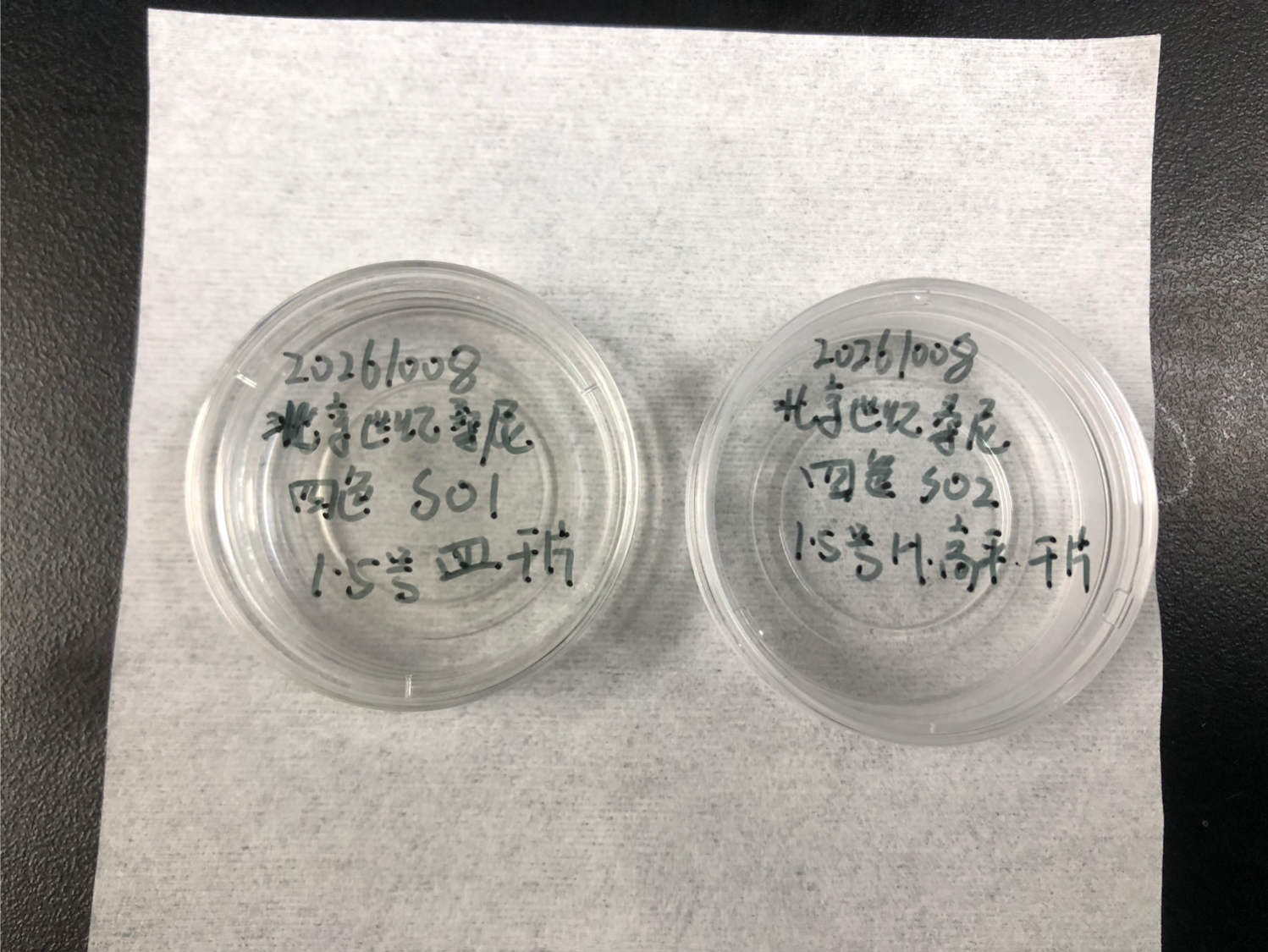 样品实物 20261008 四色标准样品