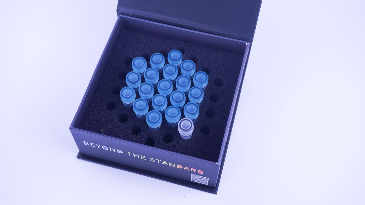 Sunbloss®Anti fade成像缓冲液