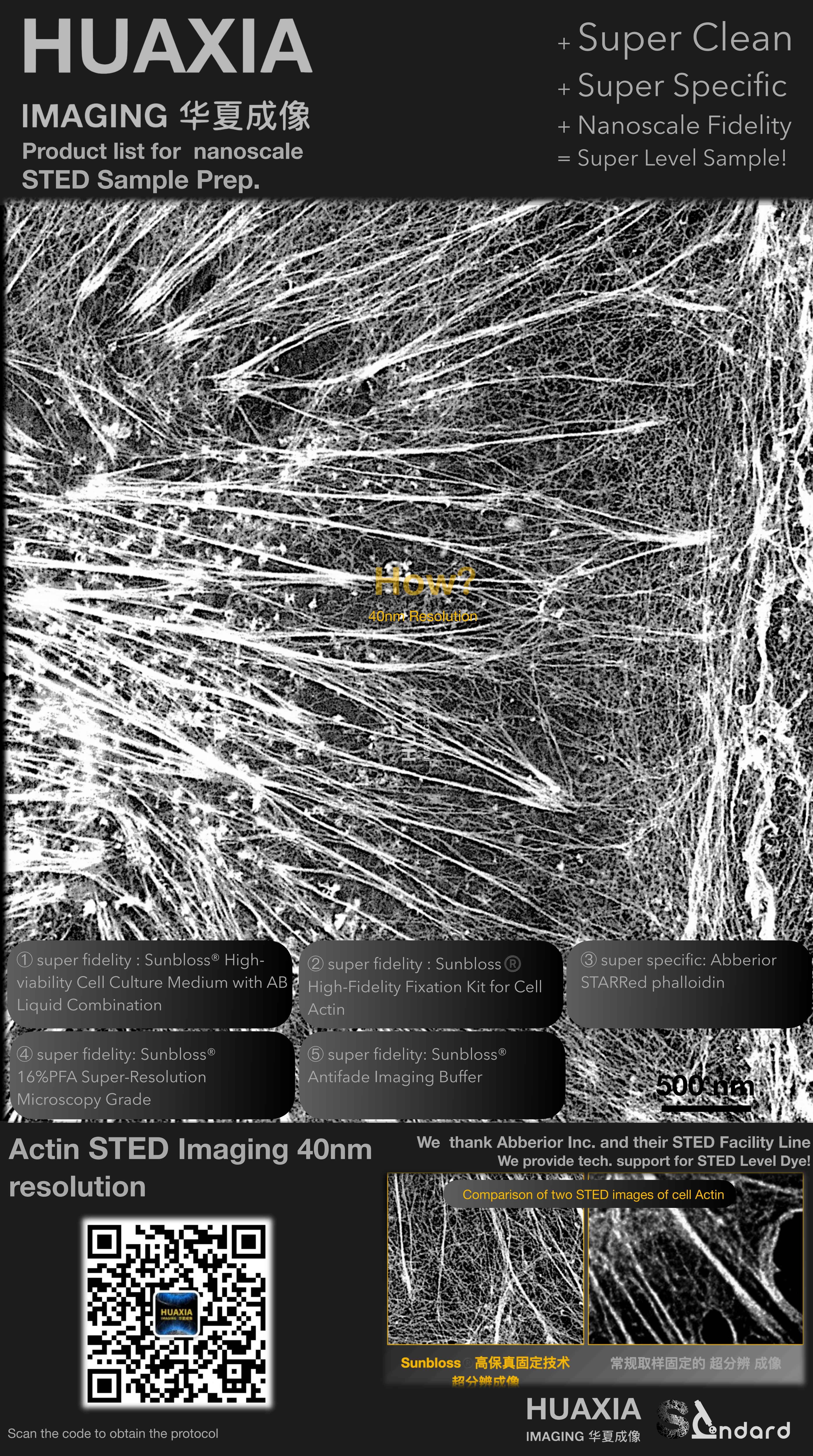 Protocol for high-fidelity Fixed Actin S