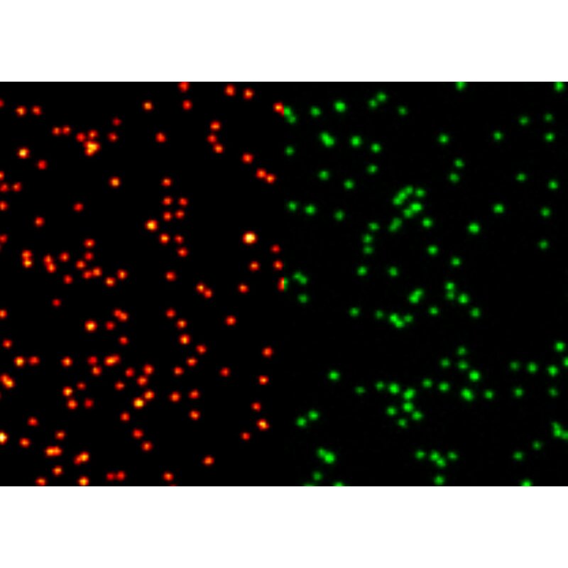 abberior-nanoparticles