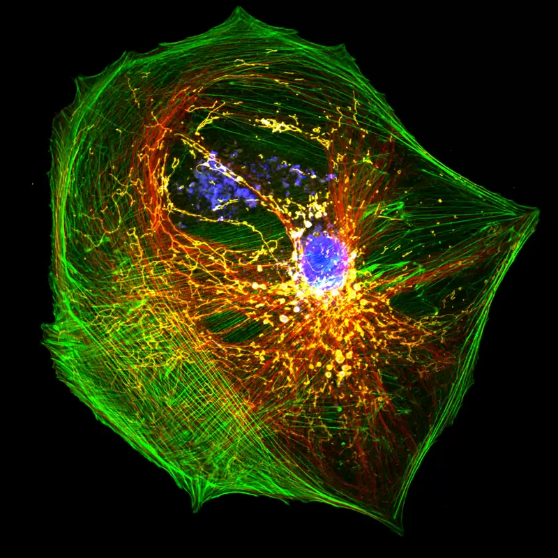 Sunbloss® Tetra Fluorescence Standard Sample